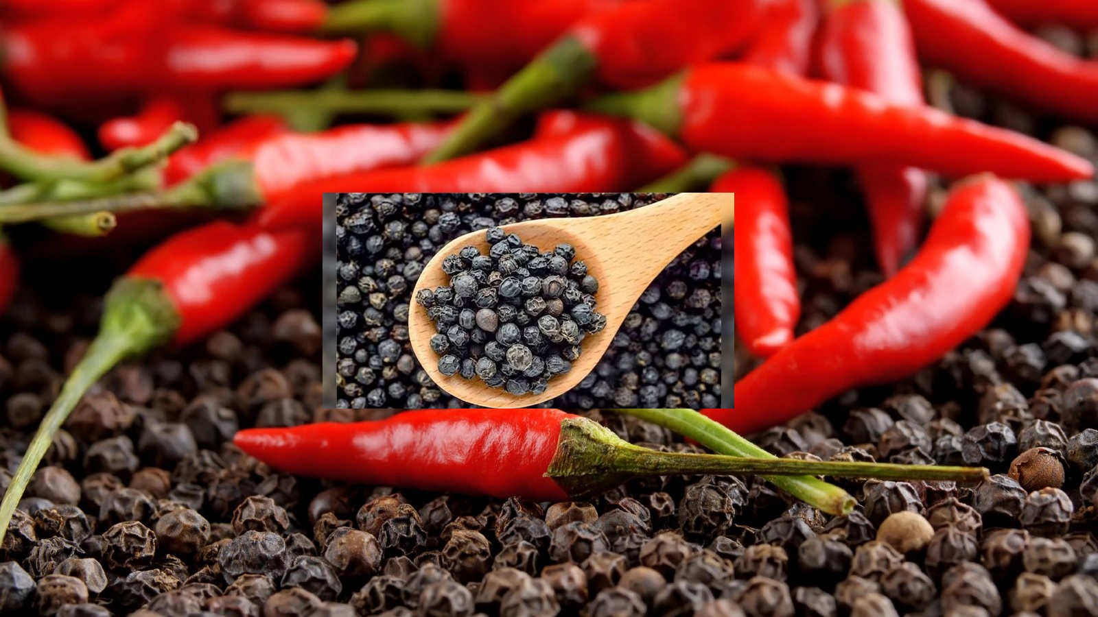 टाइप 2 डायबिटीज को रिवर्स करने में दखनी मिर्च कारगर | लाल मिर्च और काली मिर्च अंदर पाइपेरिन और कैप्साइसिन मौजूद