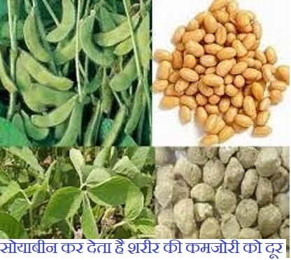 सोयाबीन बैड कोलेस्ट्रॉल भी होता है कम | सोयाबीन कर देता है शरीर की कमजोरी को दूर